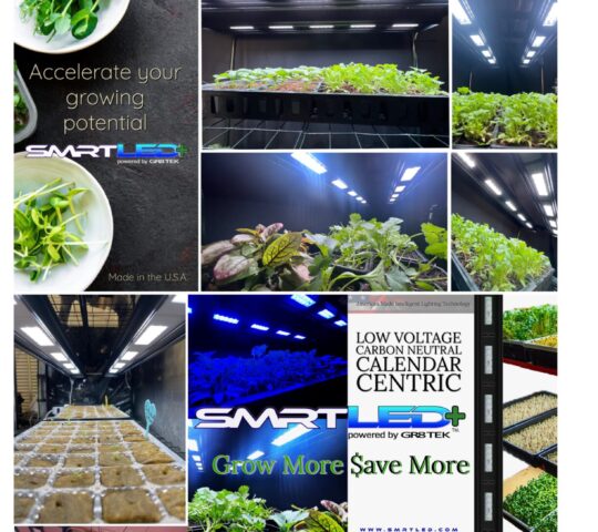 QuiedanFarms May